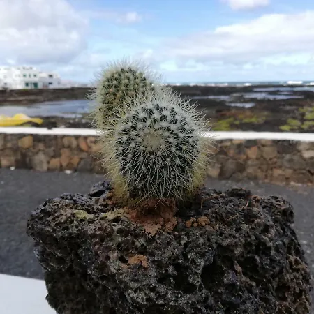 アパート Mirador Del Roque 2 オルソラ